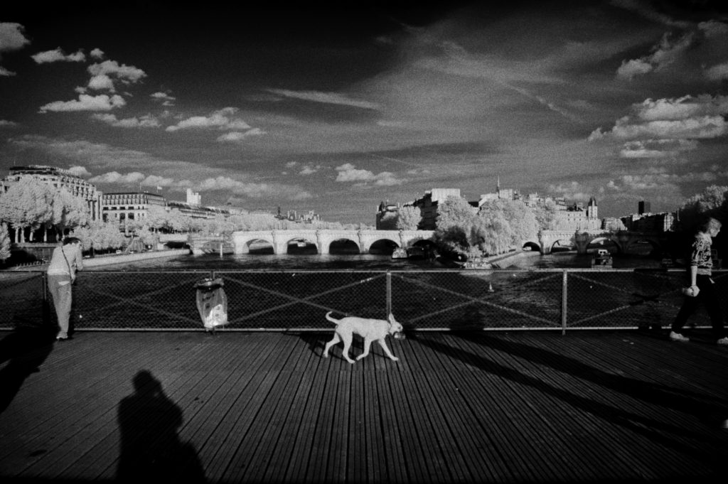 Pont des Arts
Leicaphilia